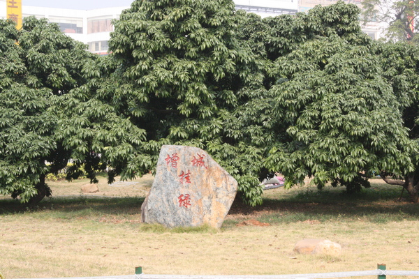 1553652110517266.jpg IMG_4829.JPG