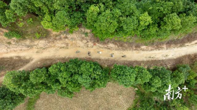 肇庆德庆县,四普工作队在基层开展工作。 肇庆德庆县,四普工作队在基层开展工作。
