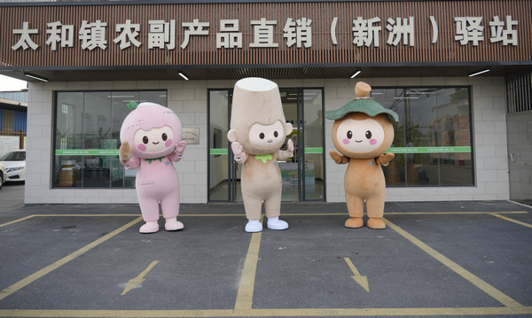 图片4.png